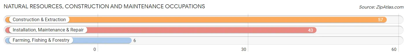 Natural Resources, Construction and Maintenance Occupations in Zip Code 61729