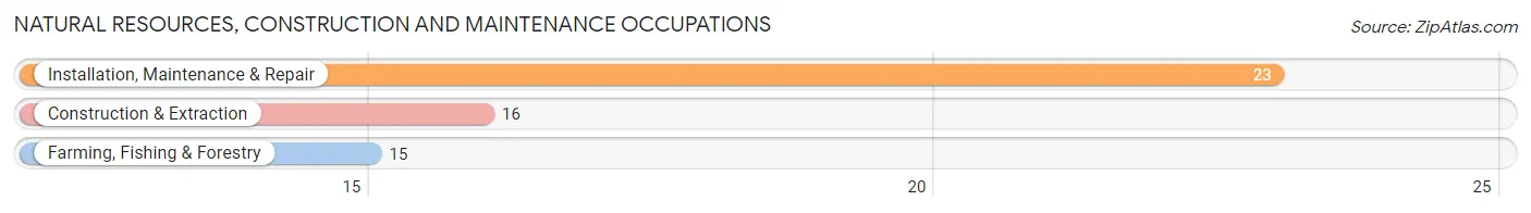 Natural Resources, Construction and Maintenance Occupations in Zip Code 61744