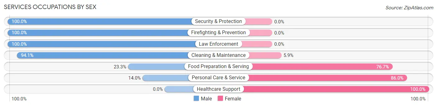 Services Occupations by Sex in Zip Code 61745