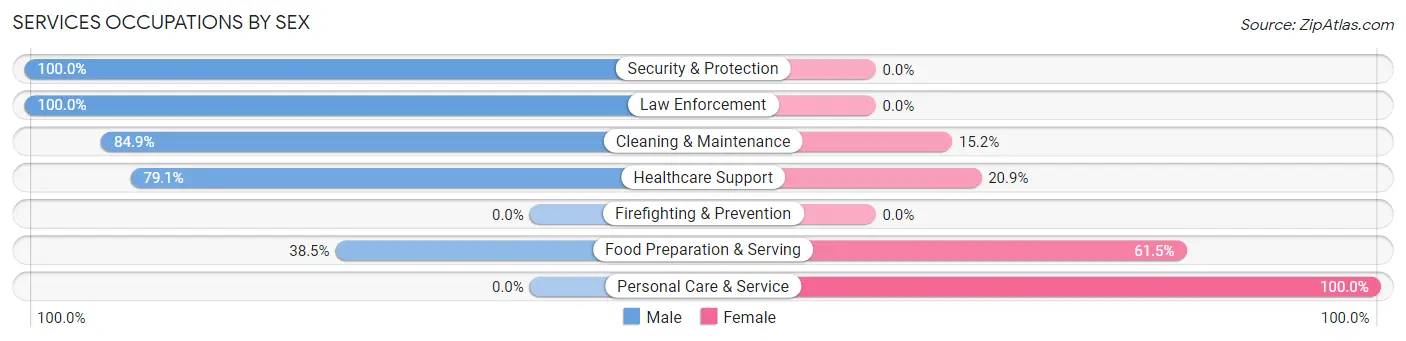 Services Occupations by Sex in Zip Code 61753