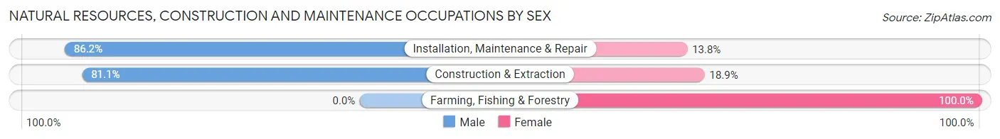 Natural Resources, Construction and Maintenance Occupations by Sex in Zip Code 61761