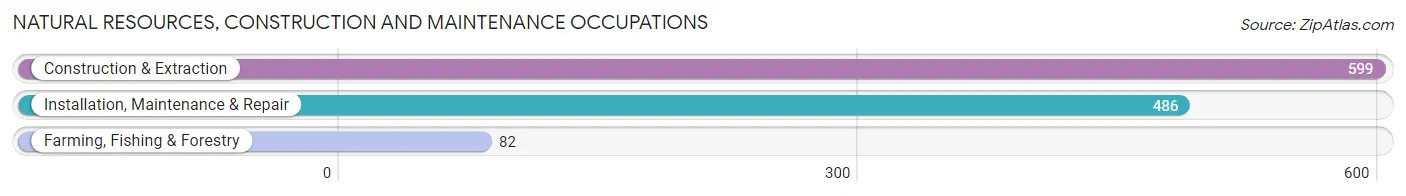 Natural Resources, Construction and Maintenance Occupations in Zip Code 61761