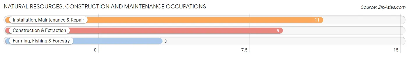 Natural Resources, Construction and Maintenance Occupations in Zip Code 61770