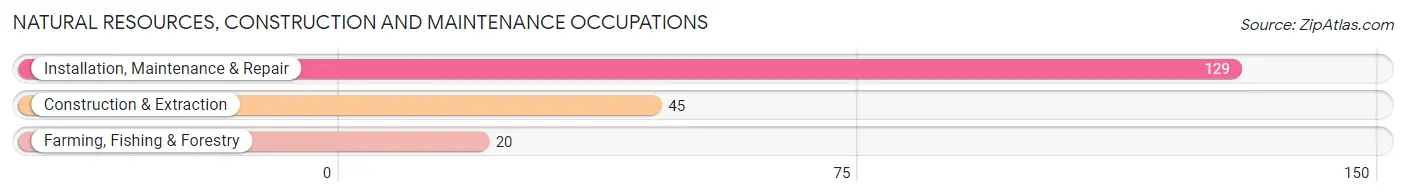 Natural Resources, Construction and Maintenance Occupations in Zip Code 61801