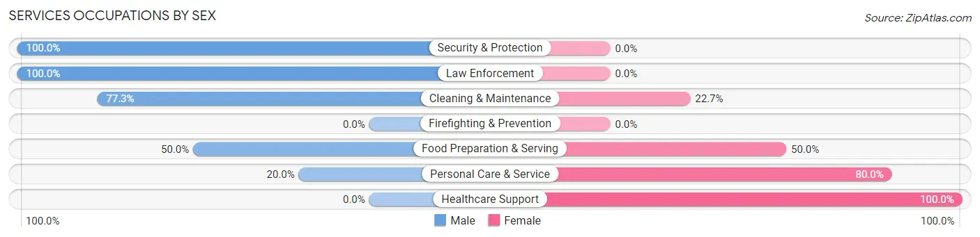 Services Occupations by Sex in Zip Code 61872