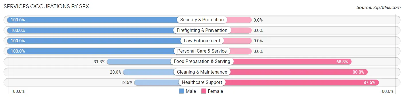 Services Occupations by Sex in Zip Code 61877