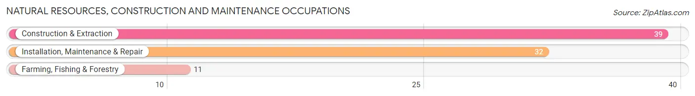 Natural Resources, Construction and Maintenance Occupations in Zip Code 61912