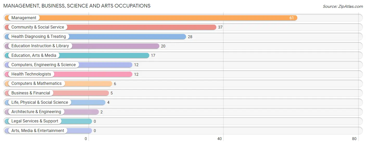 Management, Business, Science and Arts Occupations in Zip Code 61919