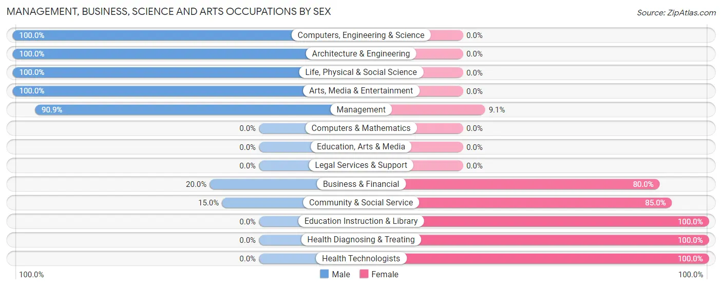 Management, Business, Science and Arts Occupations by Sex in Zip Code 61928
