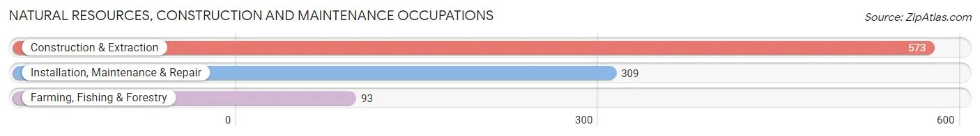 Natural Resources, Construction and Maintenance Occupations in Zip Code 61938