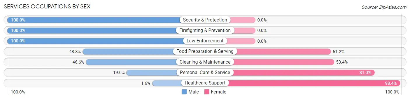 Services Occupations by Sex in Zip Code 61938