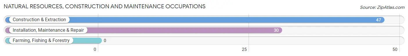 Natural Resources, Construction and Maintenance Occupations in Zip Code 62021