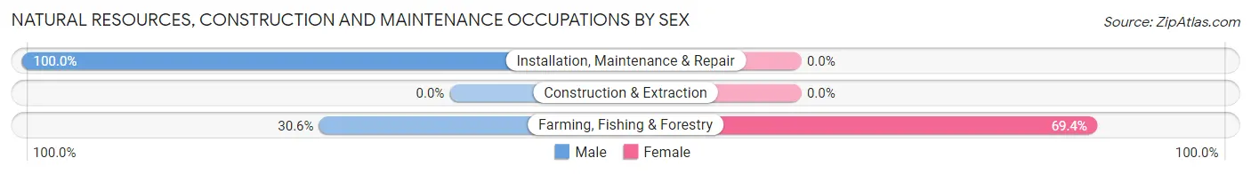 Natural Resources, Construction and Maintenance Occupations by Sex in Zip Code 62022