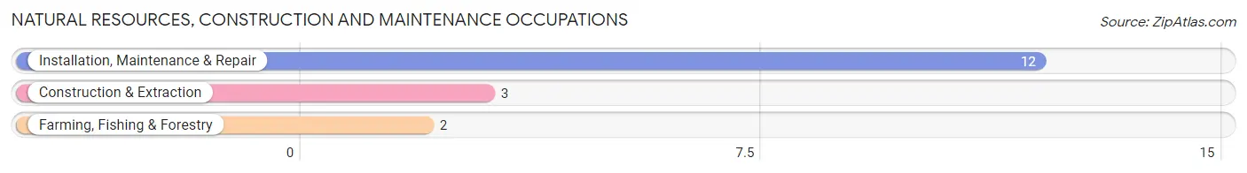 Natural Resources, Construction and Maintenance Occupations in Zip Code 62027