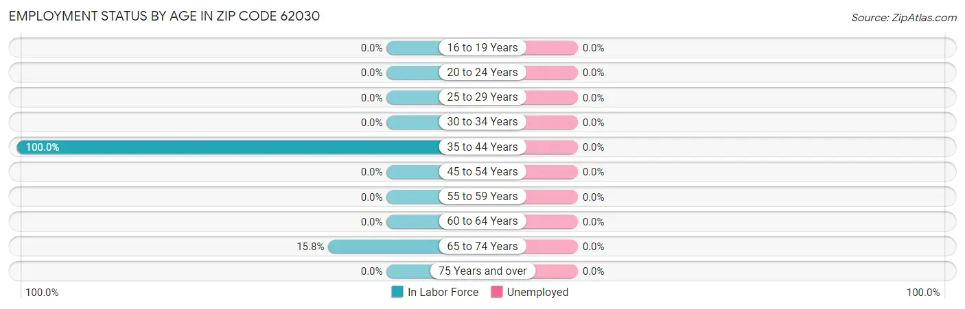 Employment Status by Age in Zip Code 62030