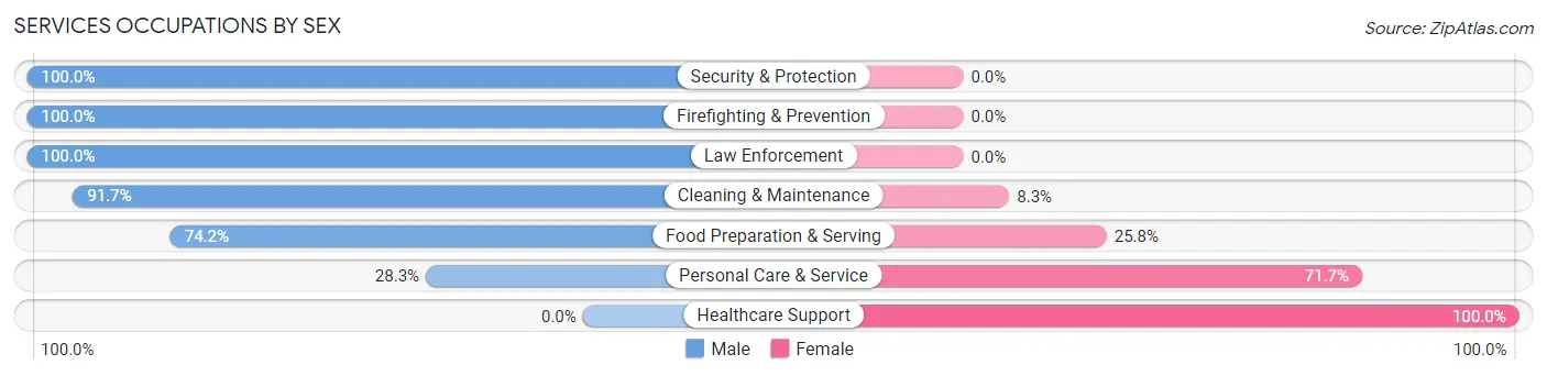 Services Occupations by Sex in Zip Code 62056