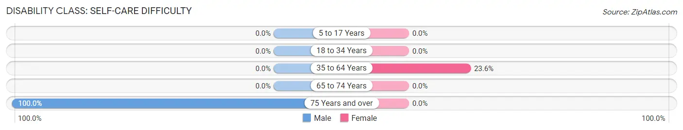 Disability in Zip Code 62081: <span>Self-Care Difficulty</span>