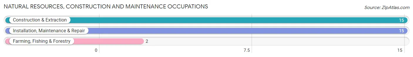 Natural Resources, Construction and Maintenance Occupations in Zip Code 62089