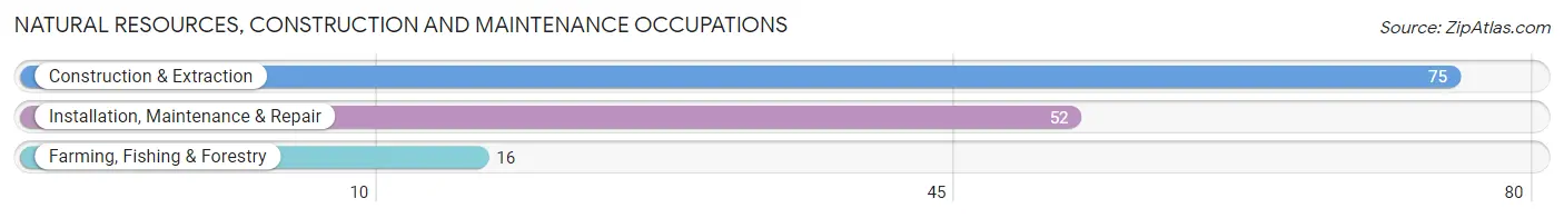 Natural Resources, Construction and Maintenance Occupations in Zip Code 62215