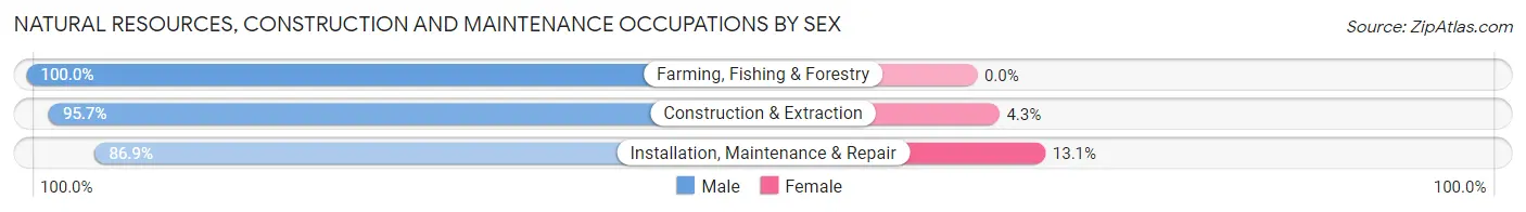 Natural Resources, Construction and Maintenance Occupations by Sex in Zip Code 62226