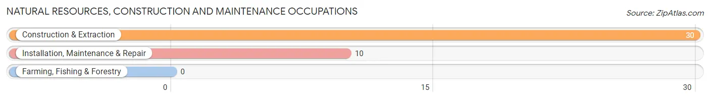 Natural Resources, Construction and Maintenance Occupations in Zip Code 62238