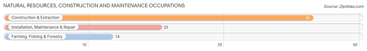 Natural Resources, Construction and Maintenance Occupations in Zip Code 62268