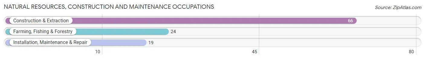 Natural Resources, Construction and Maintenance Occupations in Zip Code 62277