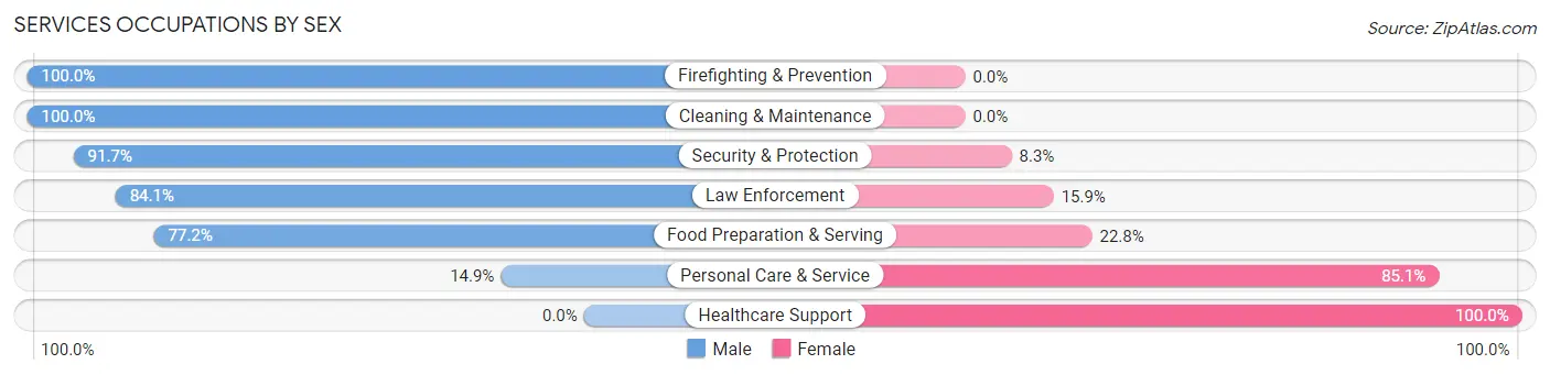 Services Occupations by Sex in Zip Code 62285