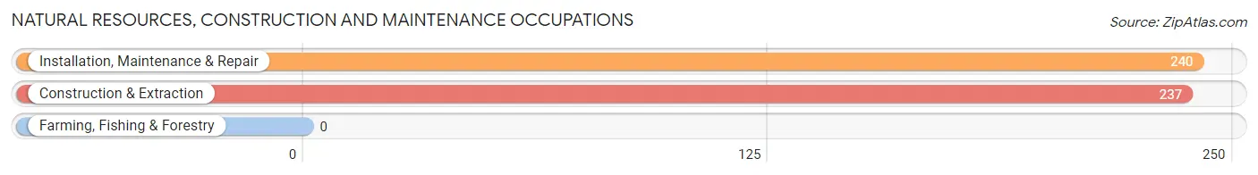 Natural Resources, Construction and Maintenance Occupations in Zip Code 62294