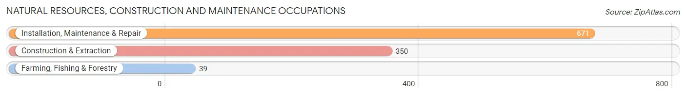 Natural Resources, Construction and Maintenance Occupations in Zip Code 62301