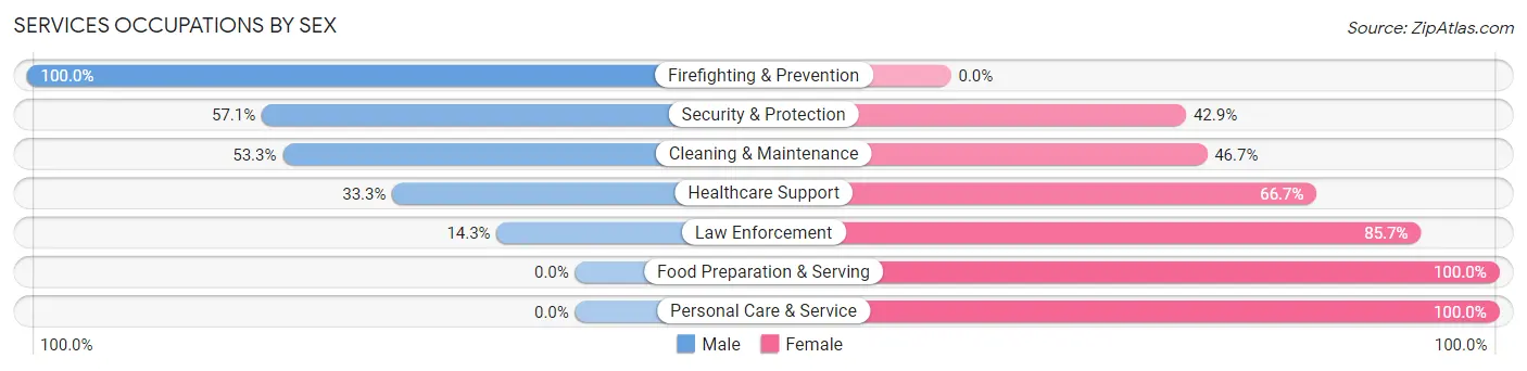 Services Occupations by Sex in Zip Code 62339