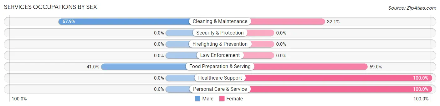 Services Occupations by Sex in Zip Code 62458
