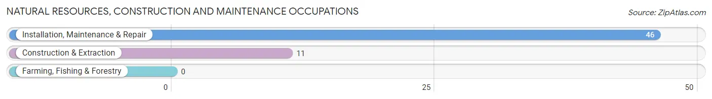 Natural Resources, Construction and Maintenance Occupations in Zip Code 62465