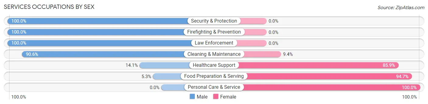 Services Occupations by Sex in Zip Code 62467