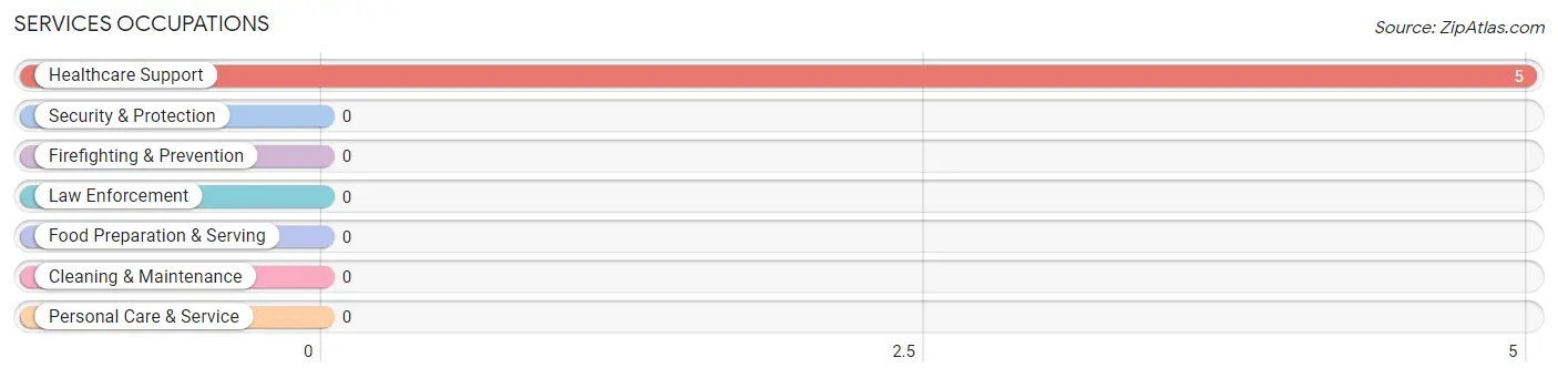 Services Occupations in Zip Code 62512