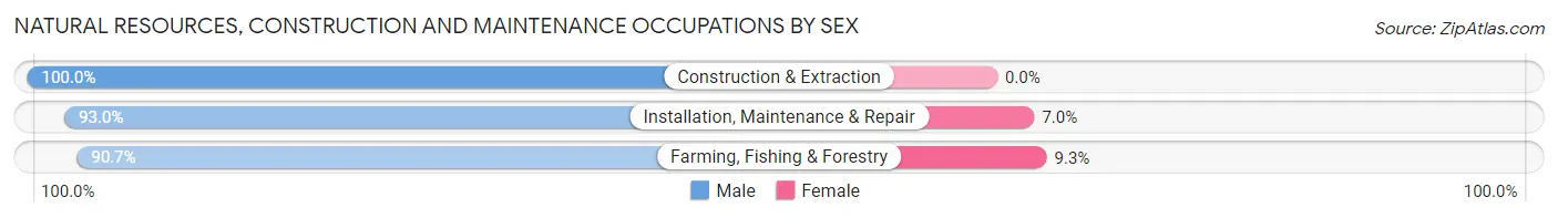 Natural Resources, Construction and Maintenance Occupations by Sex in Zip Code 62531