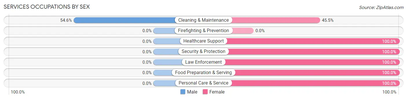 Services Occupations by Sex in Zip Code 62533