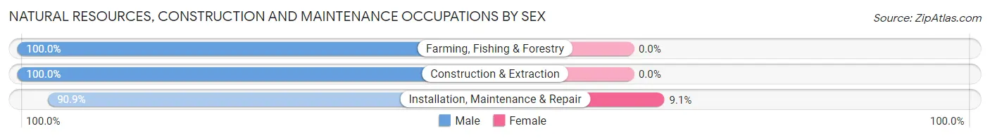Natural Resources, Construction and Maintenance Occupations by Sex in Zip Code 62540