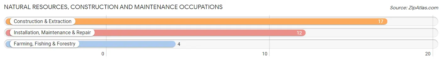 Natural Resources, Construction and Maintenance Occupations in Zip Code 62547