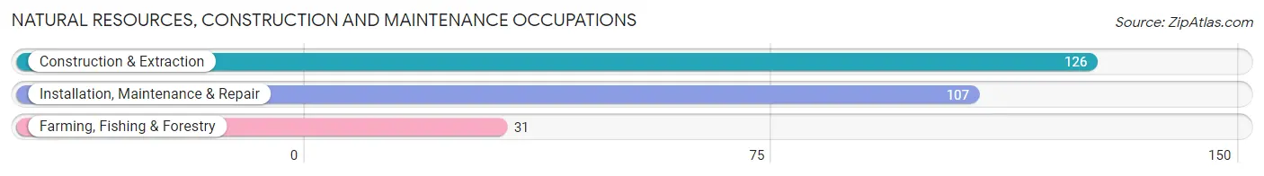 Natural Resources, Construction and Maintenance Occupations in Zip Code 62626