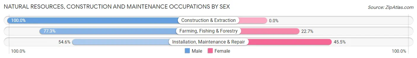 Natural Resources, Construction and Maintenance Occupations by Sex in Zip Code 62627