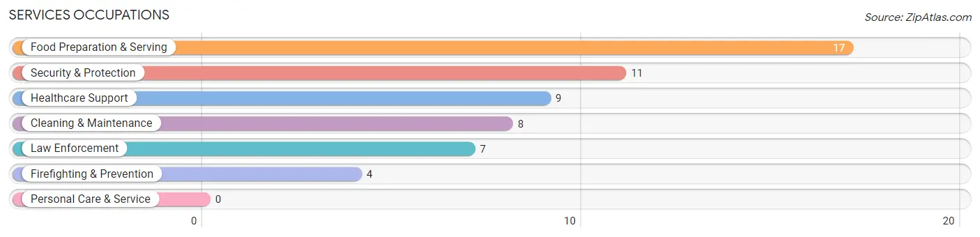 Services Occupations in Zip Code 62628