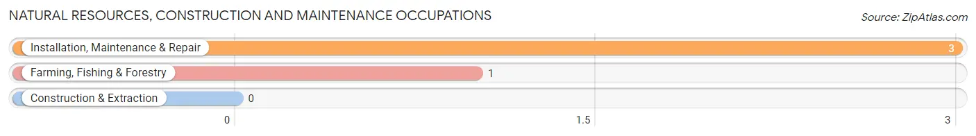 Natural Resources, Construction and Maintenance Occupations in Zip Code 62631