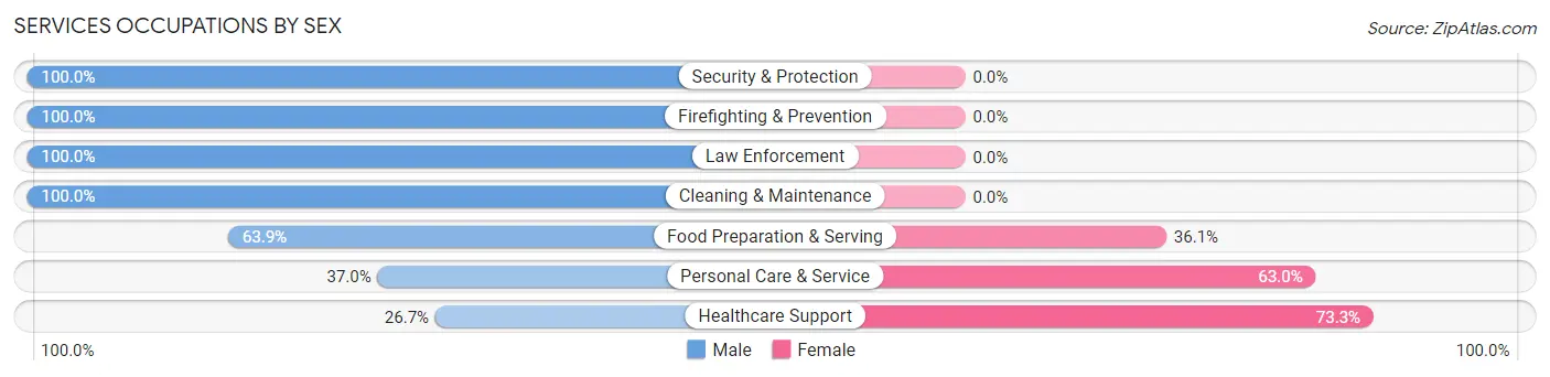 Services Occupations by Sex in Zip Code 62642