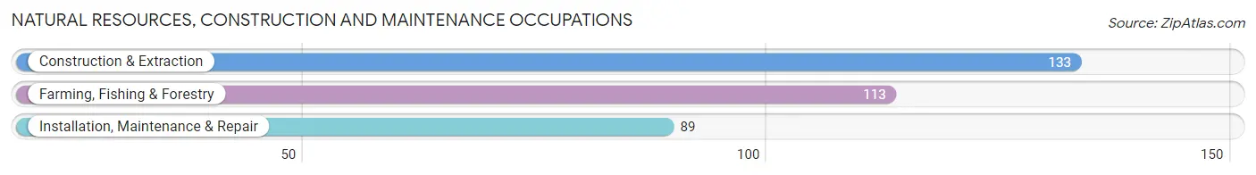 Natural Resources, Construction and Maintenance Occupations in Zip Code 62644