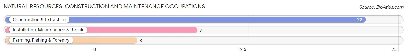 Natural Resources, Construction and Maintenance Occupations in Zip Code 62688