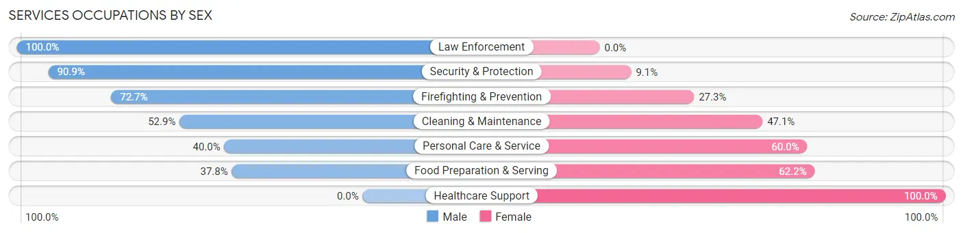 Services Occupations by Sex in Zip Code 62691