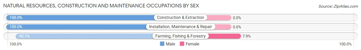 Natural Resources, Construction and Maintenance Occupations by Sex in Zip Code 62702