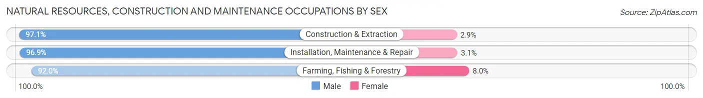 Natural Resources, Construction and Maintenance Occupations by Sex in Zip Code 62801