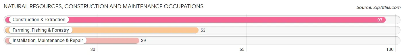 Natural Resources, Construction and Maintenance Occupations in Zip Code 62806